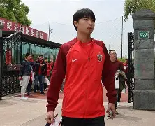 开云登录入口-与斯内德同在国家队和俱乐部队友有哪些