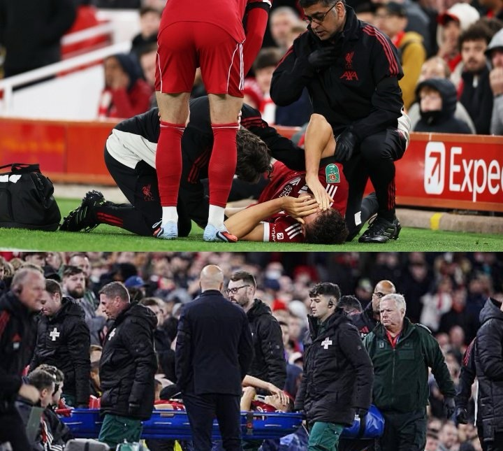 开云登录入口-深度利物浦并非转会之神 苦难赛季凸显失败案例